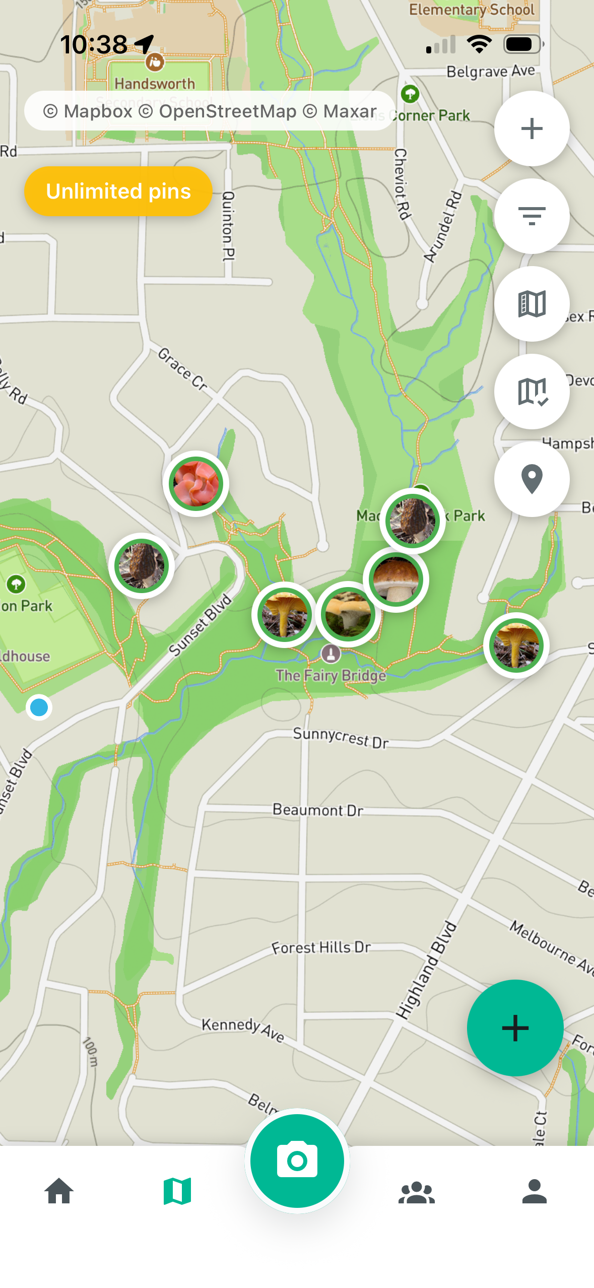 Foraging map with mushroom pins