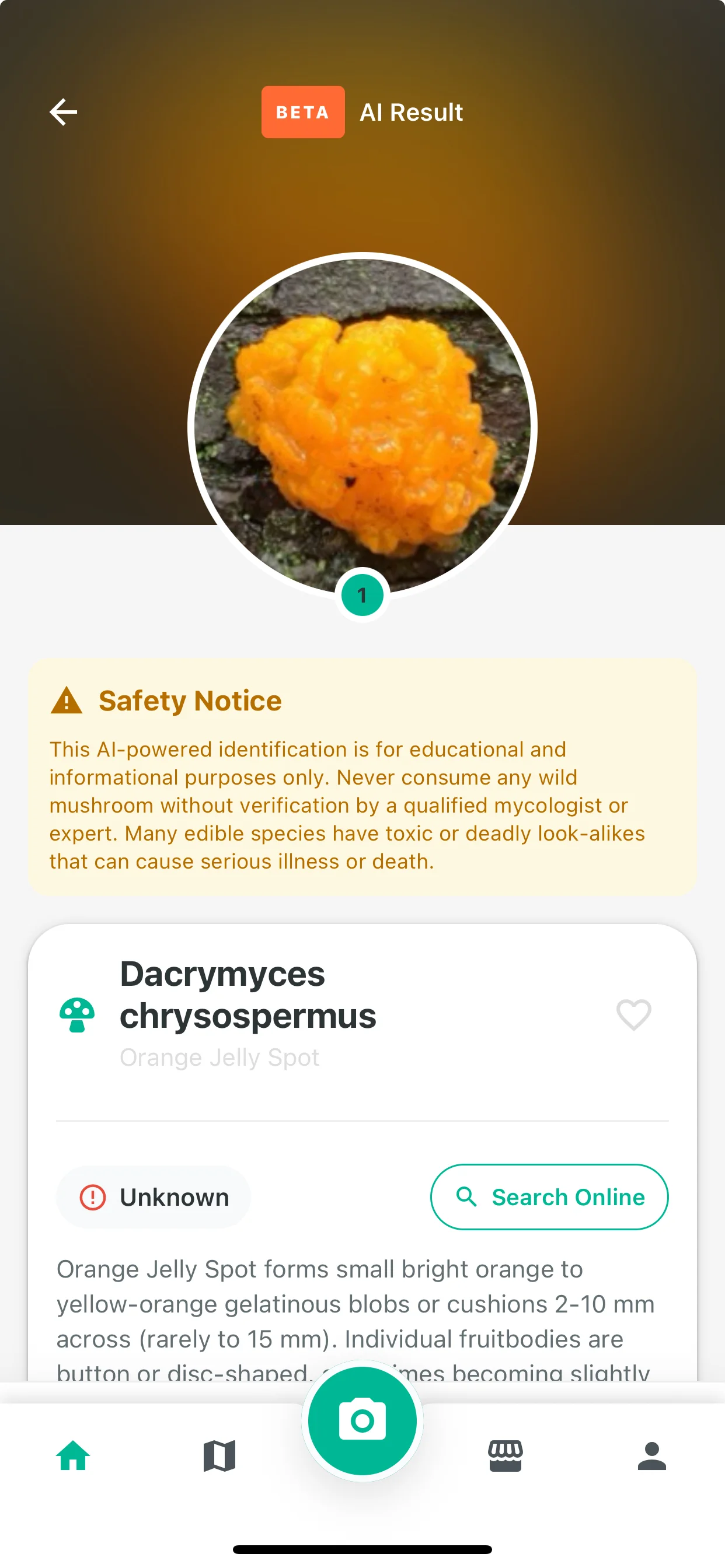 AI mushroom identification screen showing photo-based species recognition with confidence scores