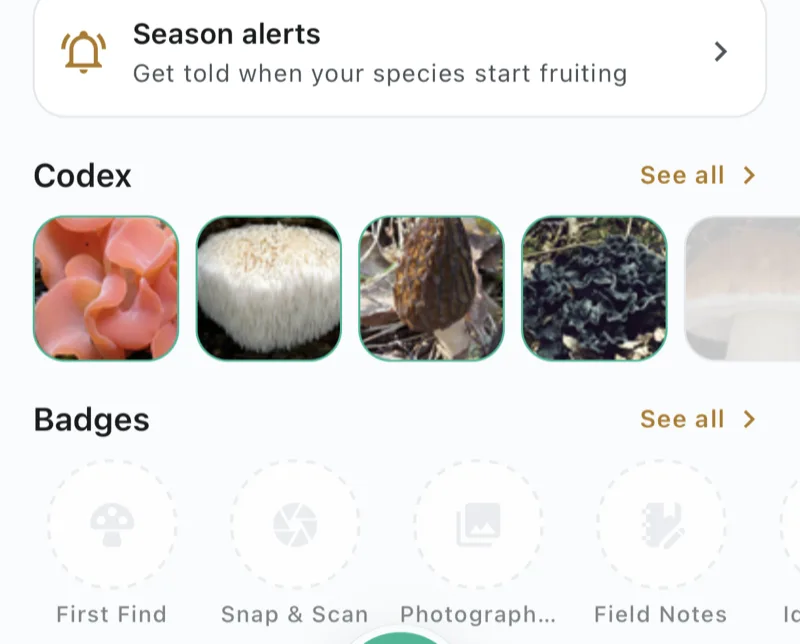 The Me tab in Mushroom Tracker showing the Season alerts card, with the line 'Get told when your species start fruiting', above the Codex and Badges sections