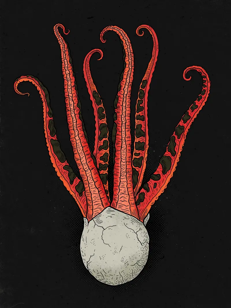 Devil's Fingers (Clathrus archeri) specimen illustration