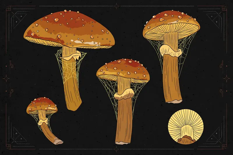 Iodine Cortinarius (Cortinarius iodes) specimen illustration